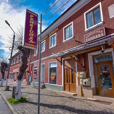 Pensiunea Vanessa Făgăraş エクステリア 写真