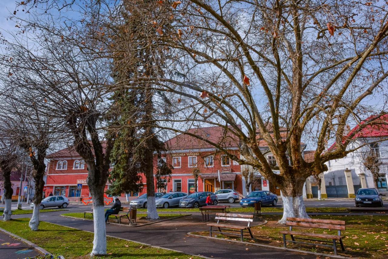 Pensiunea Vanessa Făgăraş エクステリア 写真